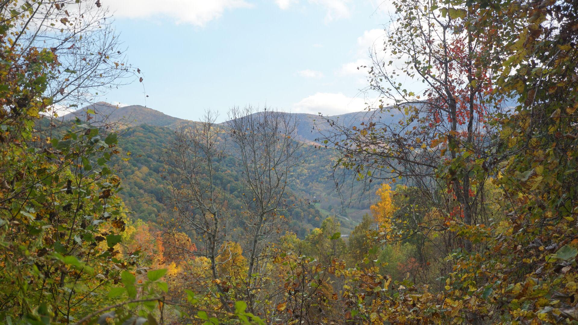 Southern Appalachian Highlands Conservancy acquires 150 acres for Roan Mountain State Park